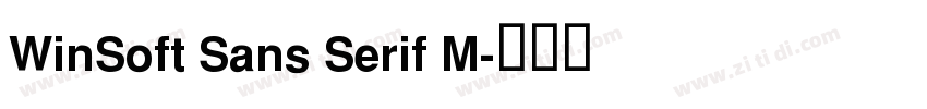 WinSoft Sans Serif M字体转换